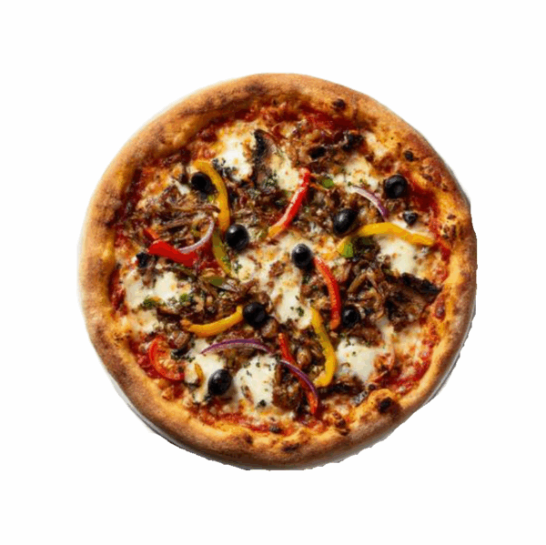 6 pizzaa vegetarienne11